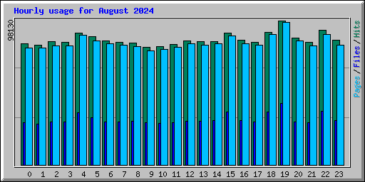 Hourly usage for August 2024