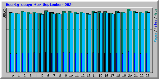 Hourly usage for September 2024