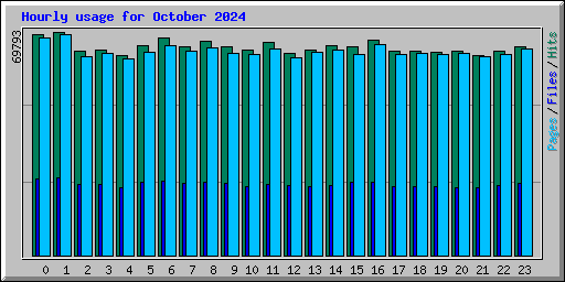 Hourly usage for October 2024